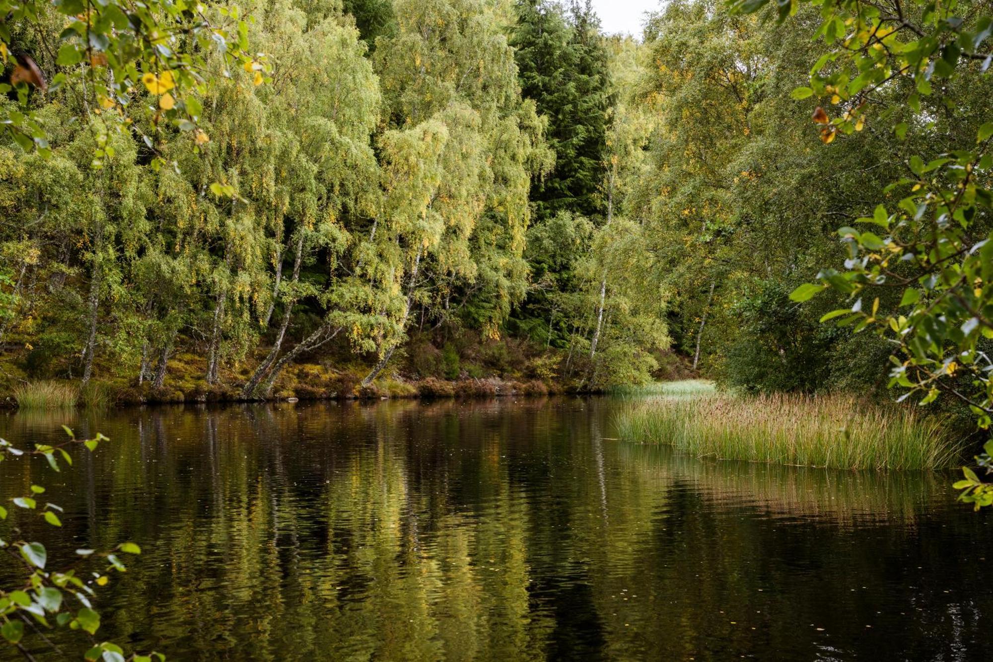 Macdonald Lochanhully Resort Carrbridge Eksteriør billede